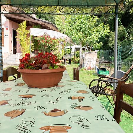 Il Boschetto Apartman Torri del Benaco Kültér fotó