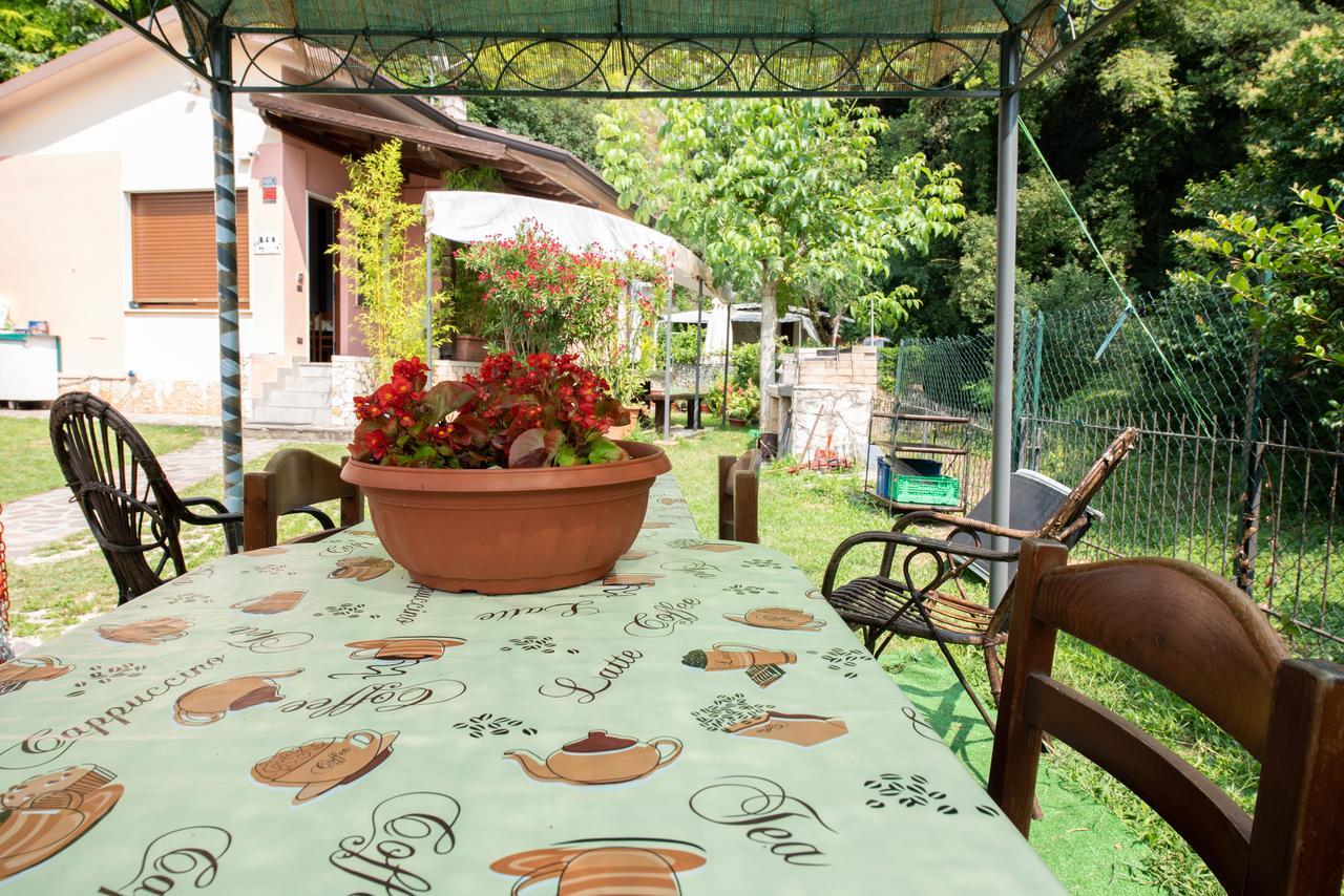 Il Boschetto Apartman Torri del Benaco Kültér fotó